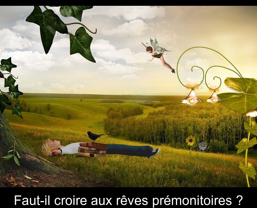 Faut-il croire aux rêves prémonitoires ? Faut-il croire aux rêves prémonitoires ?