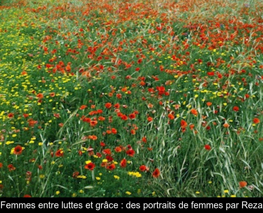 Femmes entre luttes et grâce : des portraits de femmes par Reza Femmes entre luttes et grâce : des portraits de femmes par Reza