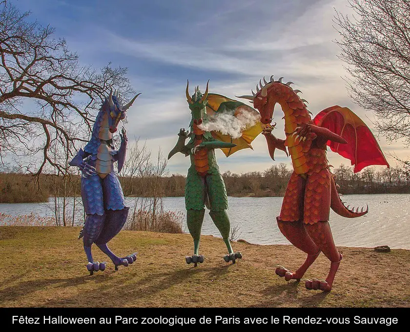 Fêtez Halloween au Parc zoologique de Paris avec le Rendez-vous Sauvage