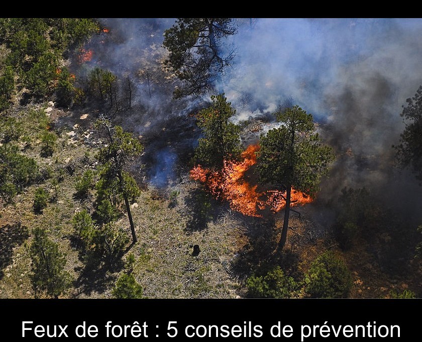 Feux de forêt : 5 conseils de prévention Feux de forêt : 5 conseils de prévention