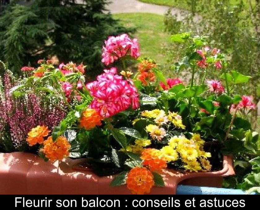 Fleurir son balcon : conseils et astuces Fleurir son balcon : conseils et astuces