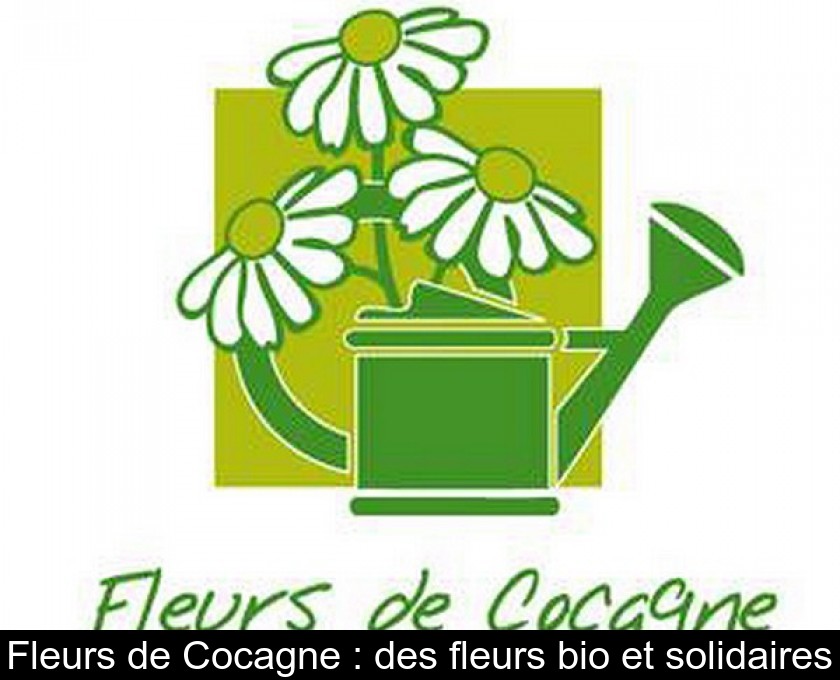 Fleurs de Cocagne : des fleurs bio et solidaires