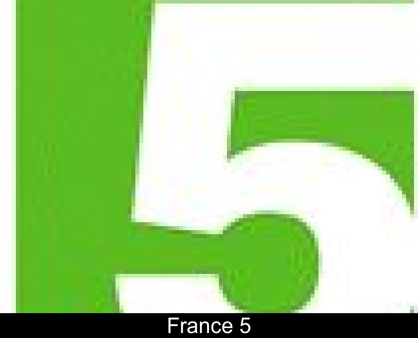 France 5 France 5