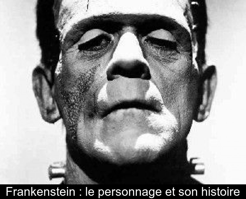 Frankenstein : le personnage et son histoire Frankenstein : le personnage et son histoire