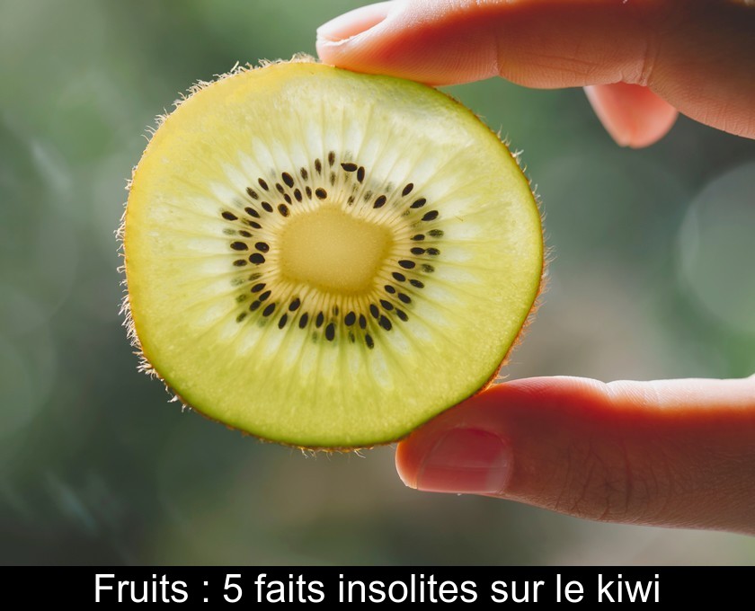 Fruits : 5 faits insolites sur le kiwi Fruits : 5 faits insolites sur le kiwi