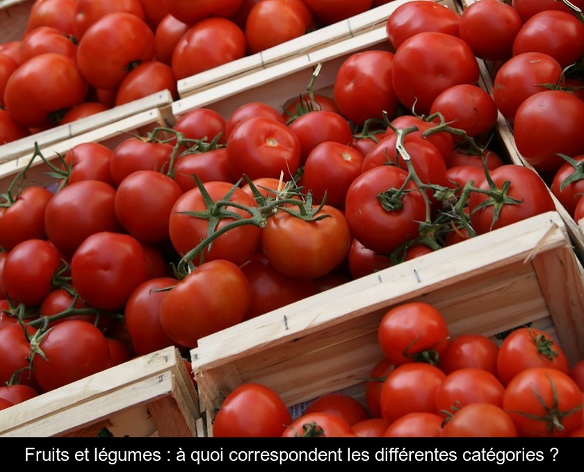 Fruits et légumes : à quoi correspondent les différentes catégories ?