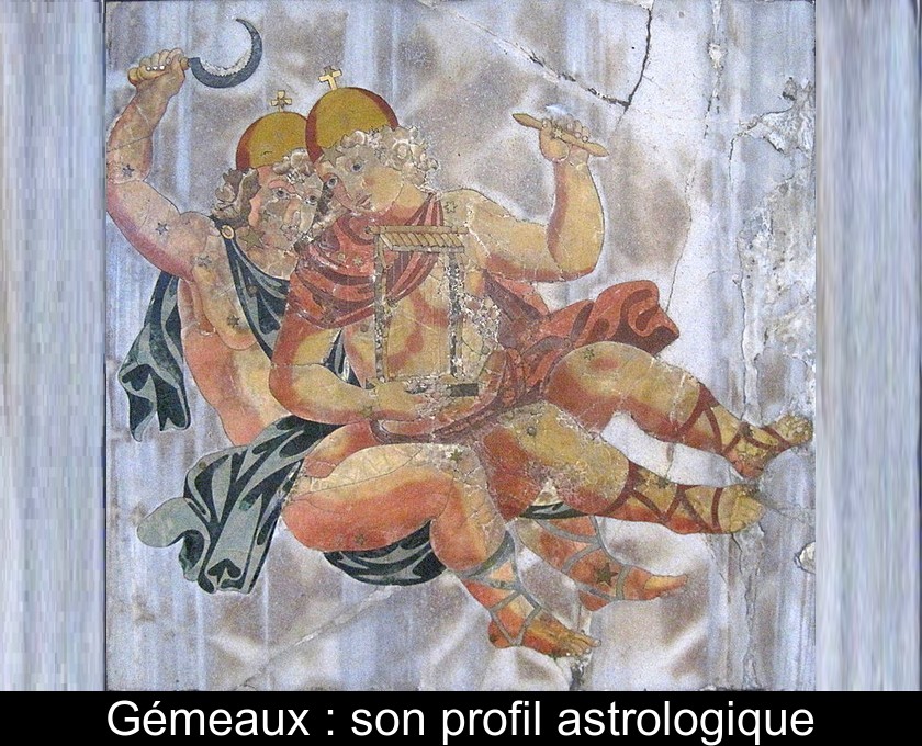 Gémeaux : son profil astrologique Gémeaux : son profil astrologique