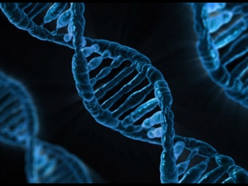 Génétique : CRISPR-Cas9 suscite des espoirs et des craintes Génétique : CRISPR-Cas9 suscite des espoirs et des craintes
