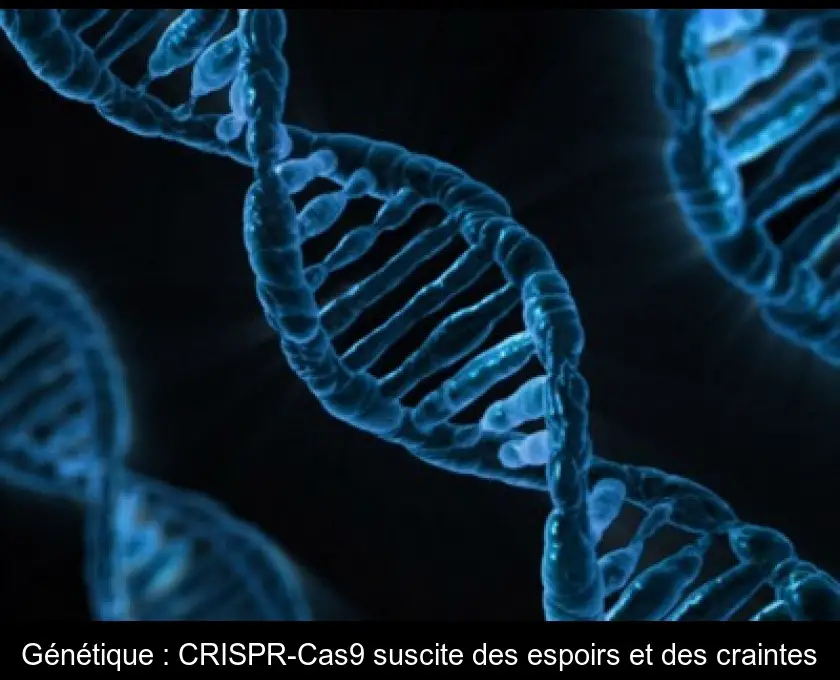 Génétique : CRISPR-Cas9 suscite des espoirs et des craintes