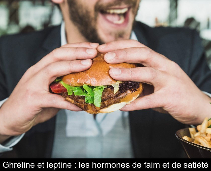 Ghréline et leptine : les hormones de faim et de satiété