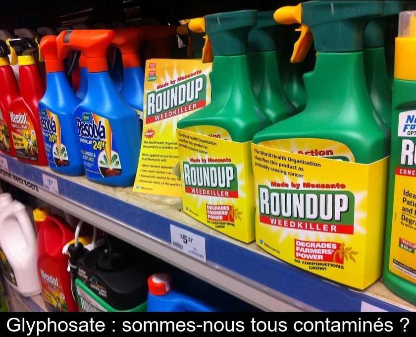 Glyphosate : sommes-nous tous contaminés ? Glyphosate : sommes-nous tous contaminés ?