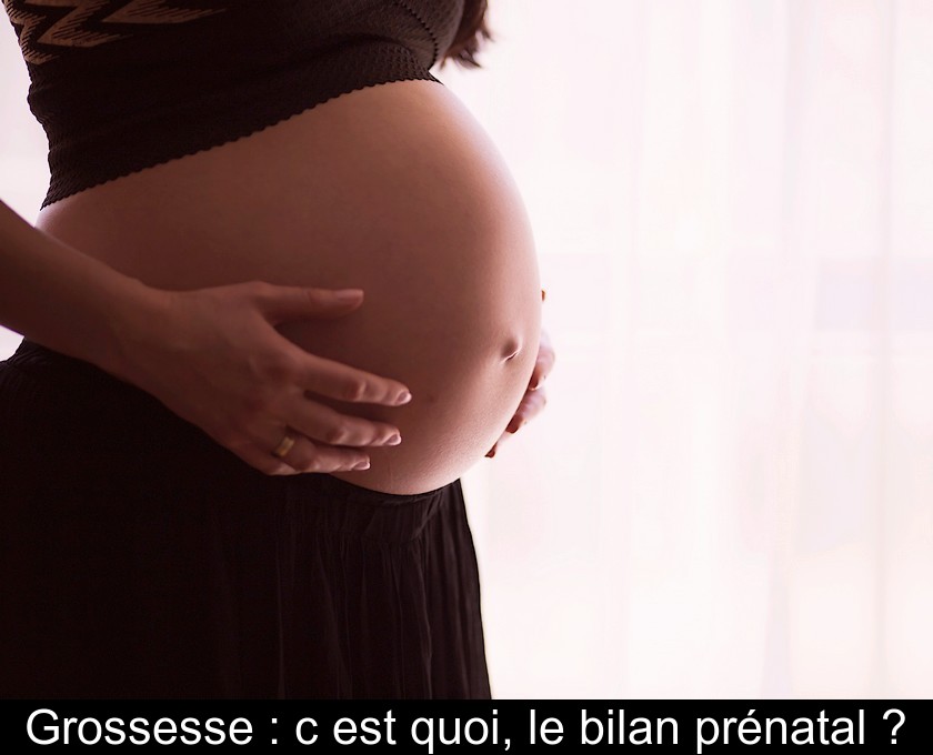 Grossesse : c'est quoi, le bilan prénatal ? Grossesse : c'est quoi, le bilan prénatal ?