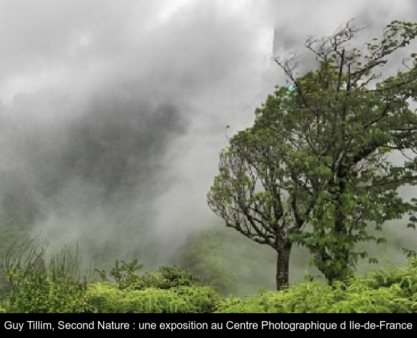 Guy Tillim, Second Nature : une exposition au Centre Photographique d'Ile-de-France