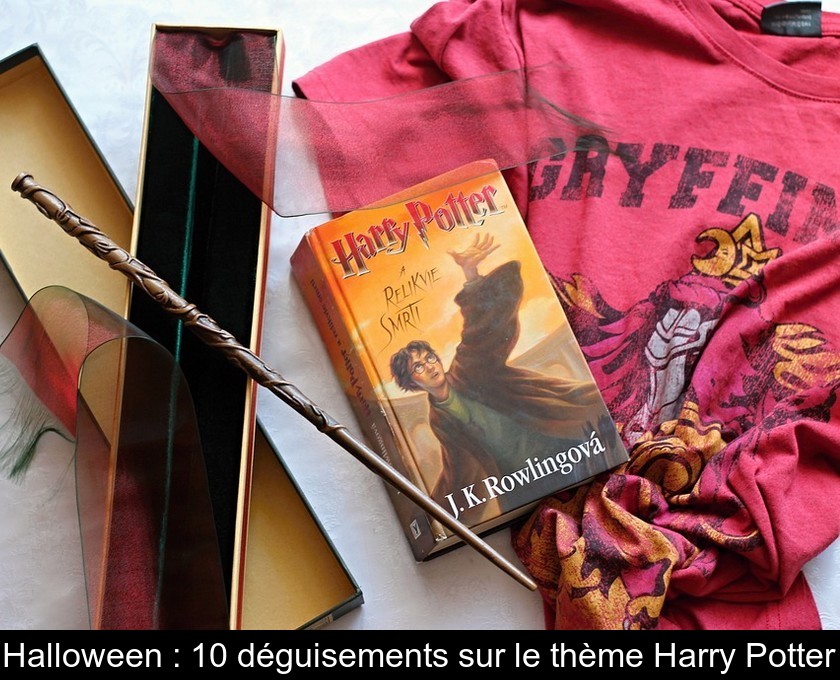 Halloween : 10 déguisements sur le thème Harry Potter Halloween : 10 déguisements sur le thème Harry Potter