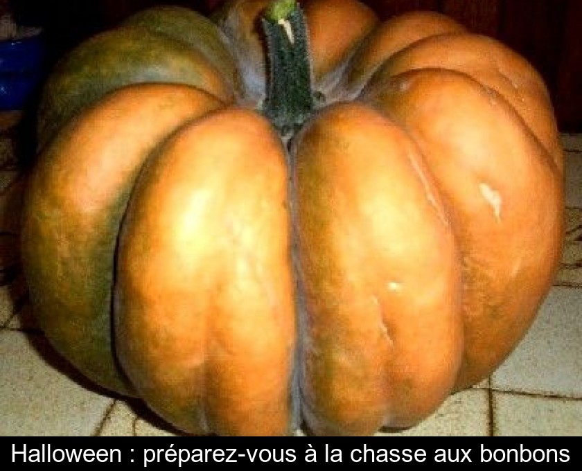 Halloween : préparez-vous à la chasse aux bonbons Halloween : préparez-vous à la chasse aux bonbons