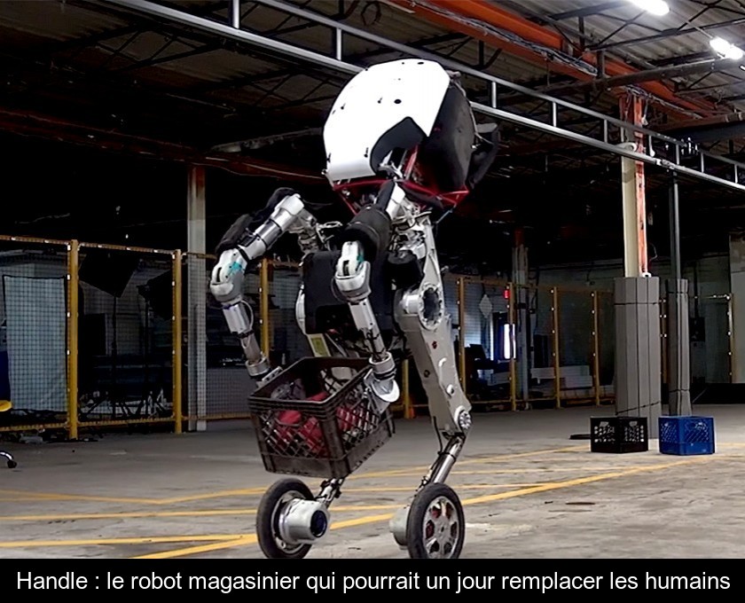 Handle : le robot magasinier qui pourrait un jour remplacer les humains