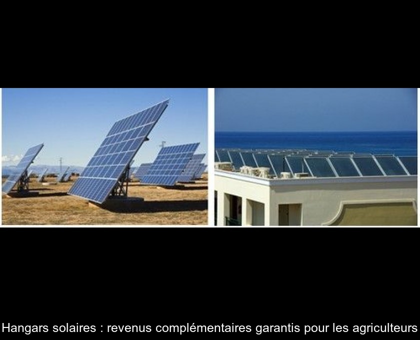Hangars solaires : revenus complémentaires garantis pour les agriculteurs Hangars solaires : revenus complémentaires garantis pour les agriculteurs