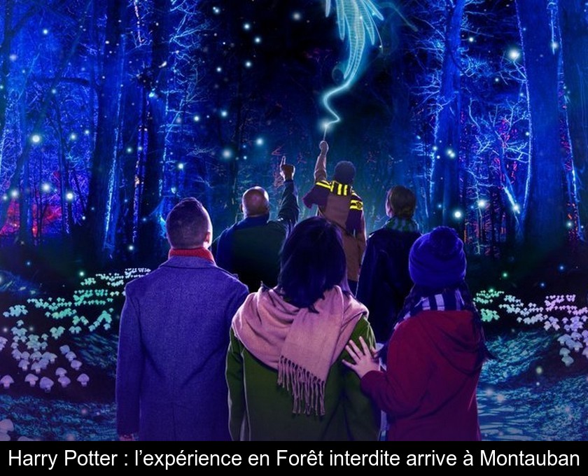 Harry Potter : l’expérience en Forêt interdite arrive à Montauban Harry Potter : l’expérience en Forêt interdite arrive à Montauban