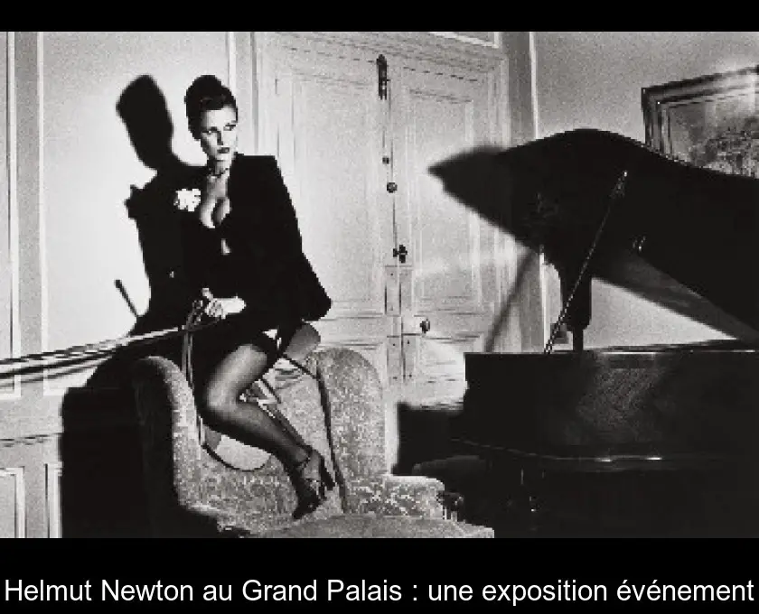 Helmut Newton au Grand Palais : une exposition événement
