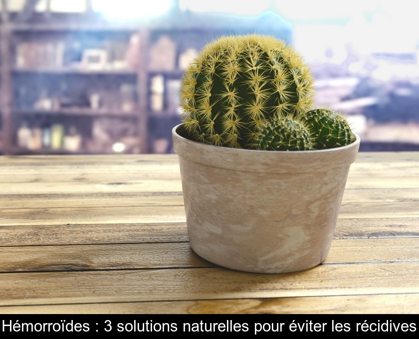Hémorroïdes : 3 solutions naturelles pour éviter les récidives Hémorroïdes : 3 solutions naturelles pour éviter les récidives