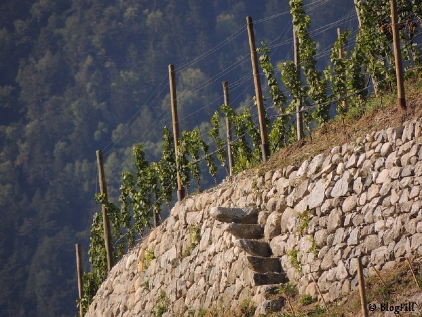 Hérault patrimoine et viticulture en pays de Lunel Hérault patrimoine et viticulture en pays de Lunel