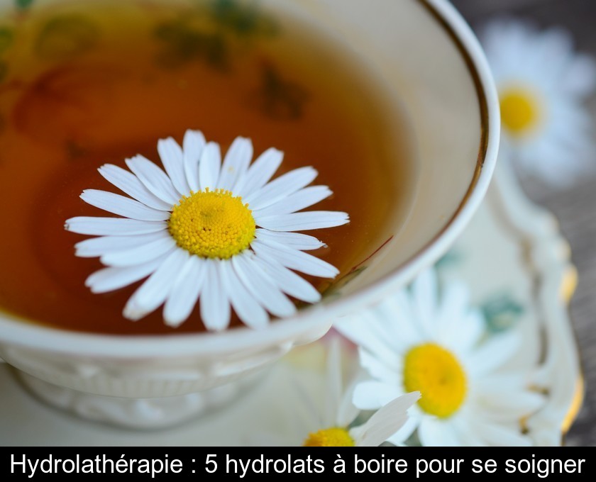 Hydrolathérapie : 5 hydrolats à boire pour se soigner Hydrolathérapie : 5 hydrolats à boire pour se soigner