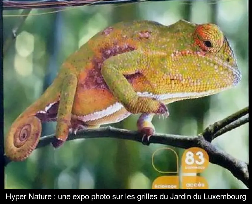 Hyper Nature : une expo photo sur les grilles du Jardin du Luxembourg