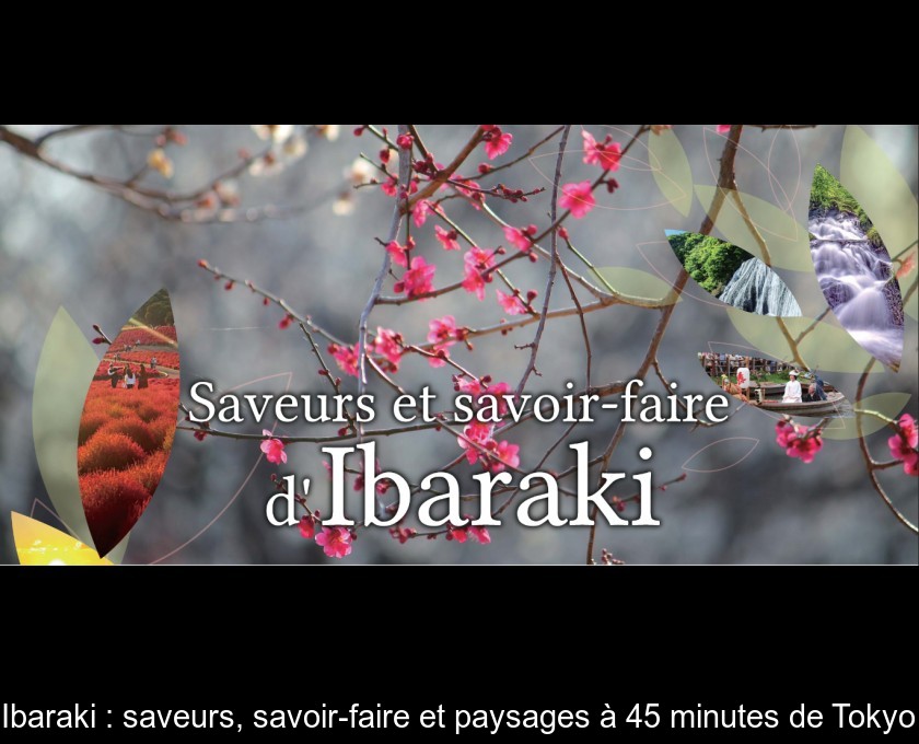 Ibaraki : saveurs, savoir-faire et paysages à 45 minutes de Tokyo