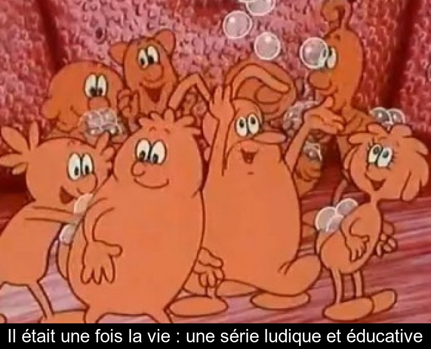 Il était une fois la vie : une série ludique et éducative Il était une fois la vie : une série ludique et éducative