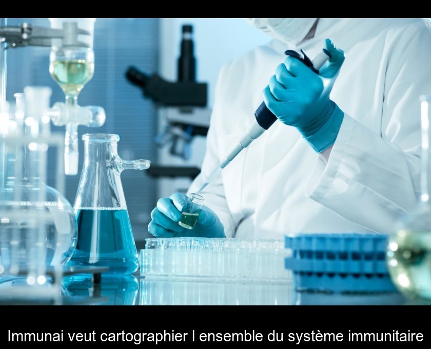 Immunai veut cartographier l'ensemble du système immunitaire Immunai veut cartographier l'ensemble du système immunitaire
