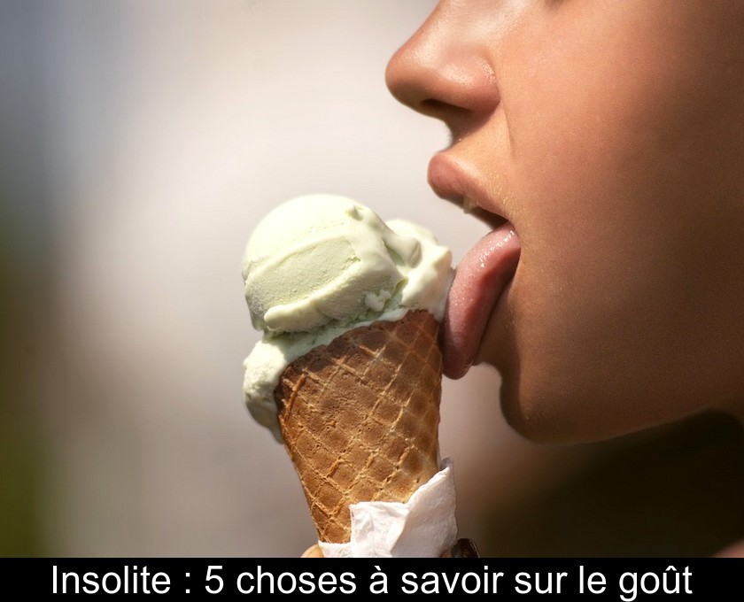 Insolite : 5 choses à savoir sur le goût