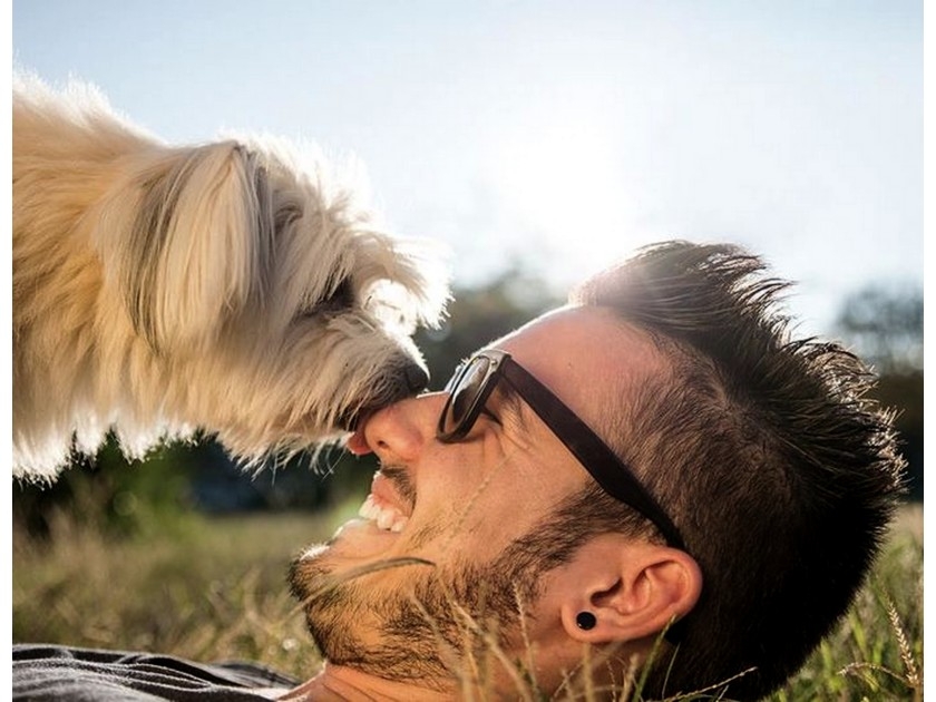 Insolite : avoir un chien aide à sortir de la dépression Insolite : avoir un chien aide à sortir de la dépression