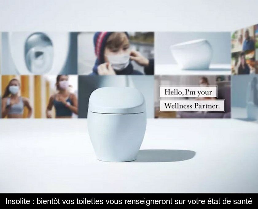 Insolite : bientôt vos toilettes vous renseigneront sur votre état de santé Insolite : bientôt vos toilettes vous renseigneront sur votre état de santé