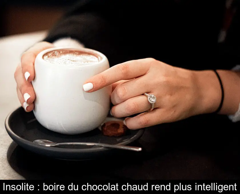 Insolite : boire du chocolat chaud rend plus intelligent
