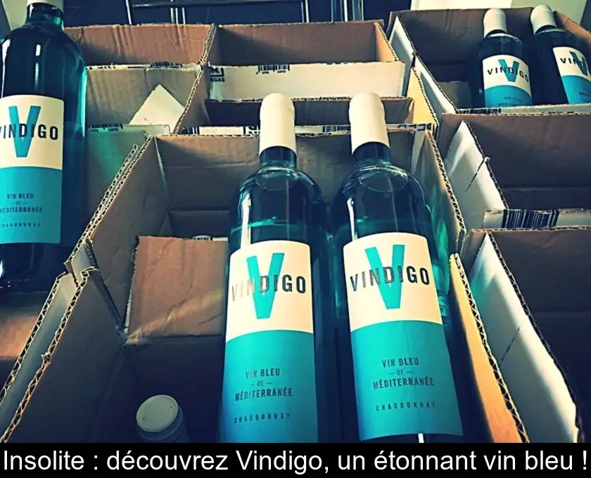 Insolite : découvrez Vindigo, un étonnant vin bleu !
