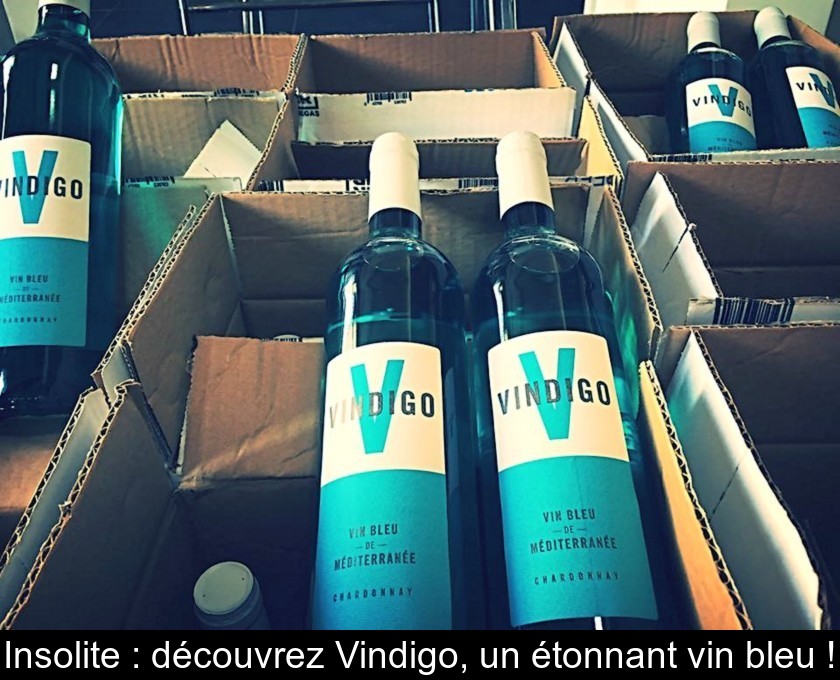 Insolite : découvrez Vindigo, un étonnant vin bleu ! Insolite : découvrez Vindigo, un étonnant vin bleu !