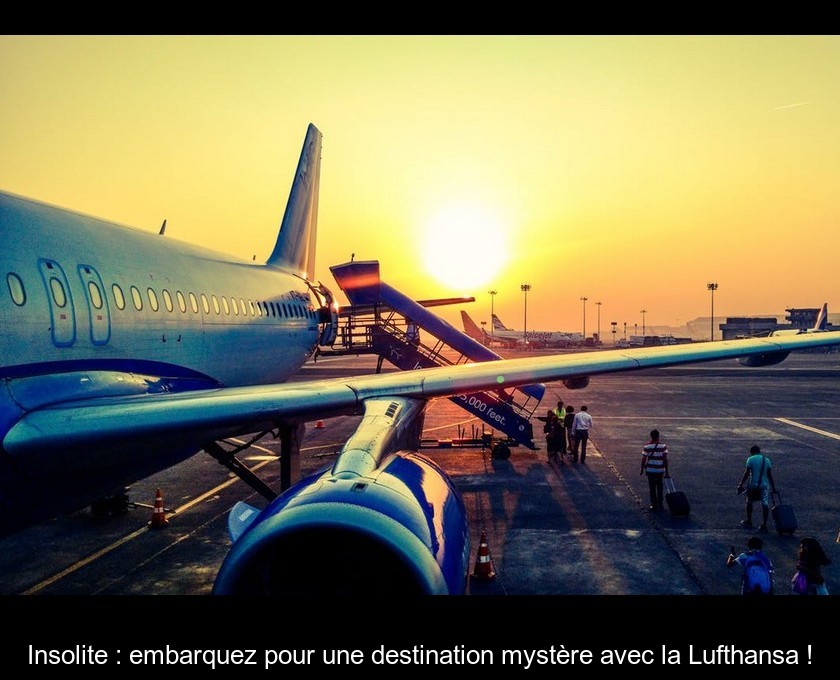 Insolite : embarquez pour une destination mystère avec la Lufthansa ! Insolite : embarquez pour une destination mystère avec la Lufthansa !
