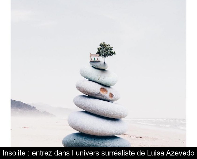 Insolite : entrez dans l'univers surréaliste de Luisa Azevedo Insolite : entrez dans l'univers surréaliste de Luisa Azevedo
