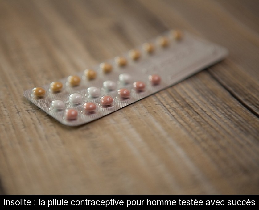 Insolite : la pilule contraceptive pour homme testée avec succès