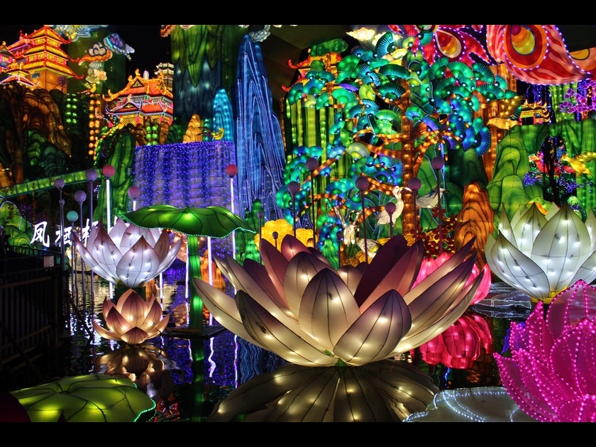 Insolite : le Festival des lanternes illumine Gaillac Insolite : le Festival des lanternes illumine Gaillac