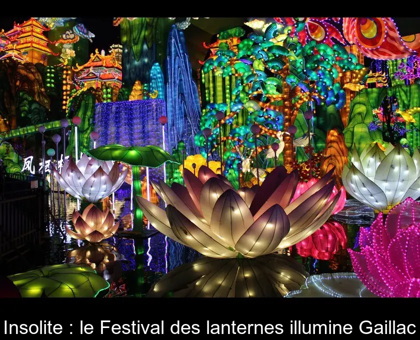 Insolite : le Festival des lanternes illumine Gaillac