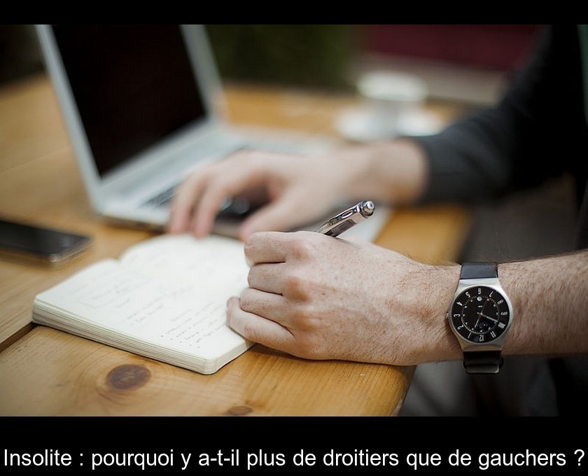 Insolite : pourquoi y a-t-il plus de droitiers que de gauchers ? Insolite : pourquoi y a-t-il plus de droitiers que de gauchers ?