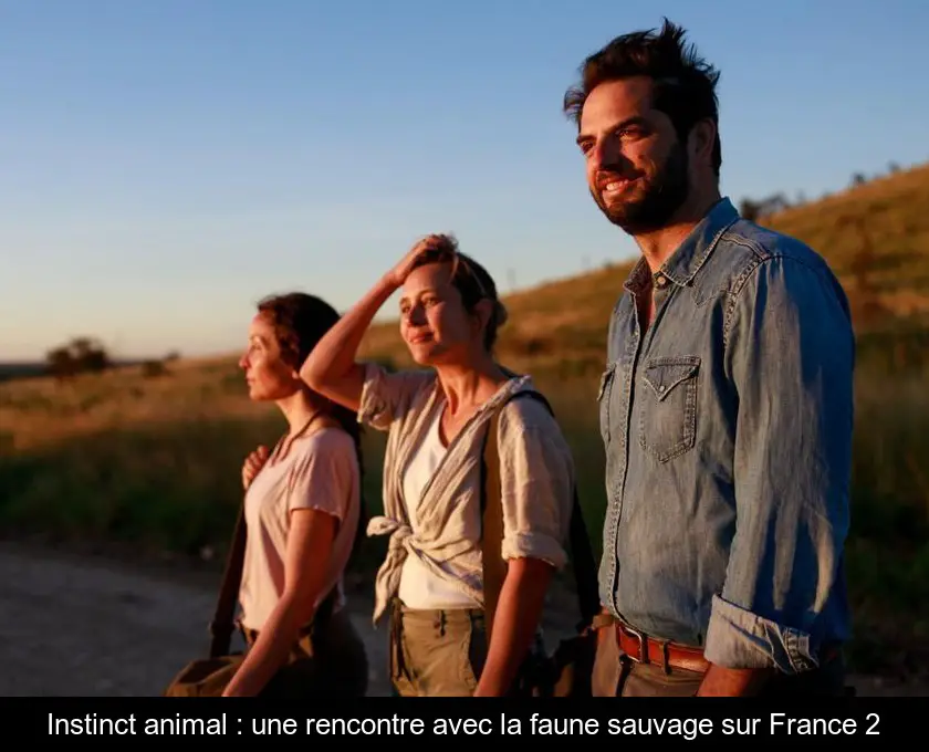 Instinct animal : une rencontre avec la faune sauvage sur France 2