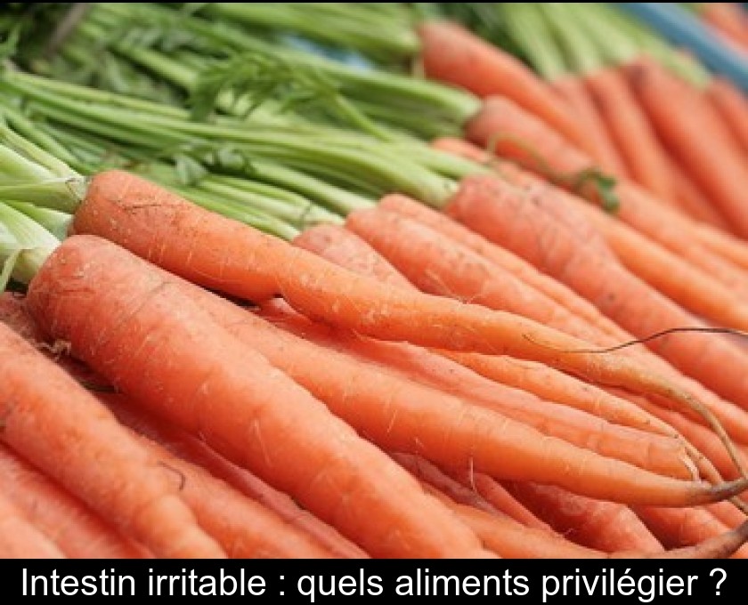 Intestin irritable : quels aliments privilégier ? Intestin irritable : quels aliments privilégier ?