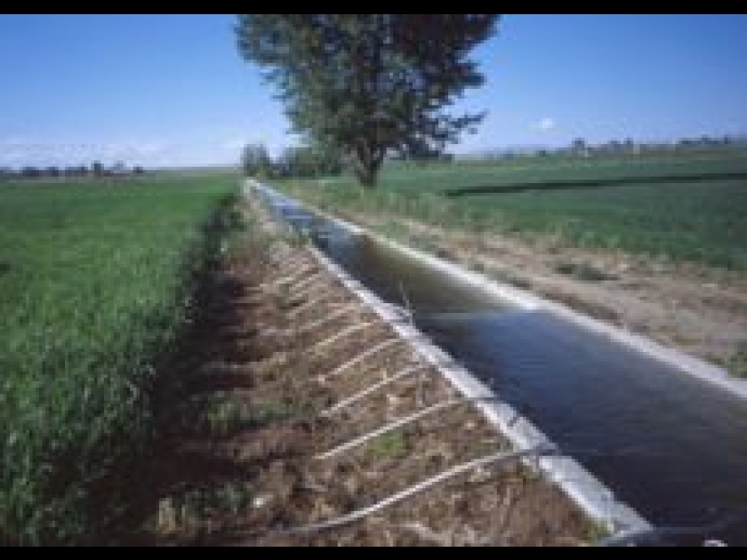 Irrigation Irrigation