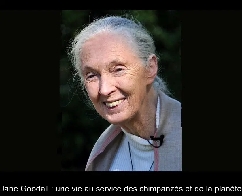 Jane Goodall : une vie au service des chimpanzés et de la planète