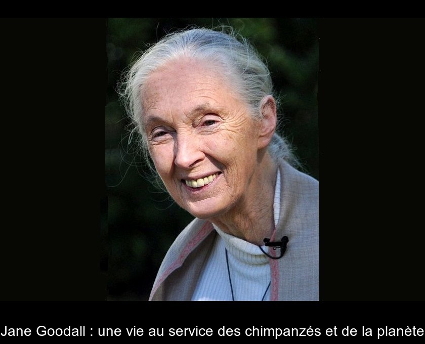 Jane Goodall : une vie au service des chimpanzés et de la planète Jane Goodall : une vie au service des chimpanzés et de la planète