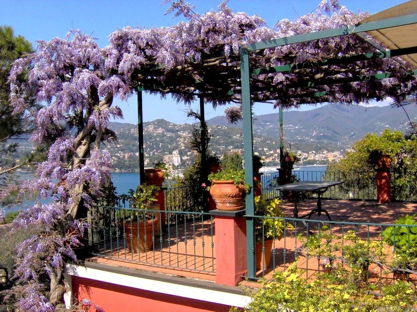 Jardin : 5 astuces pour faire de l'ombre Jardin : 5 astuces pour faire de l'ombre