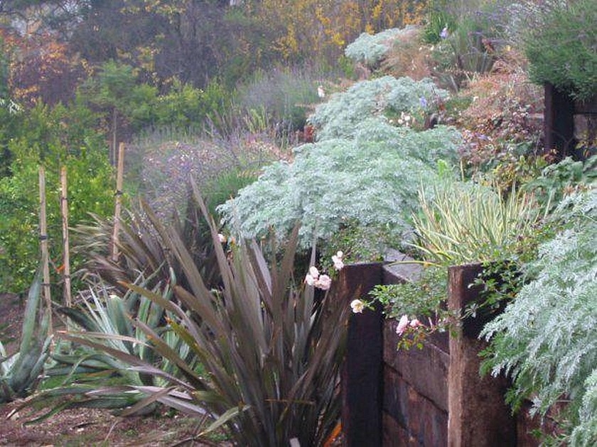 Jardin : 5 astuces pour protéger ses plantes de la canicule Jardin : 5 astuces pour protéger ses plantes de la canicule