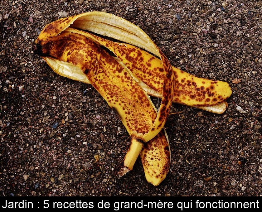 Jardin : 5 recettes de grand-mère qui fonctionnent Jardin : 5 recettes de grand-mère qui fonctionnent